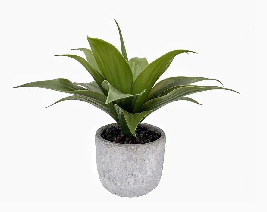 Artificial Aloe Vera in Cement Pot 36cm