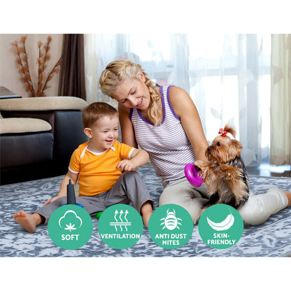 200x290cm Area Rug Large Carpet Soft Short Pile Modern Fafi