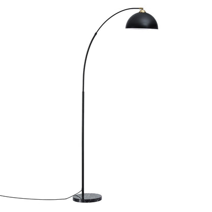 Modern Arched Floor Lamp - Black