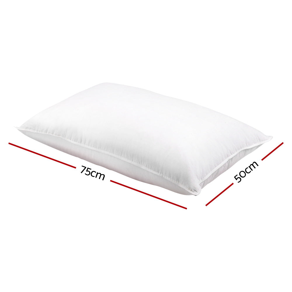 Goose Feather Down Pillow Twin Pack