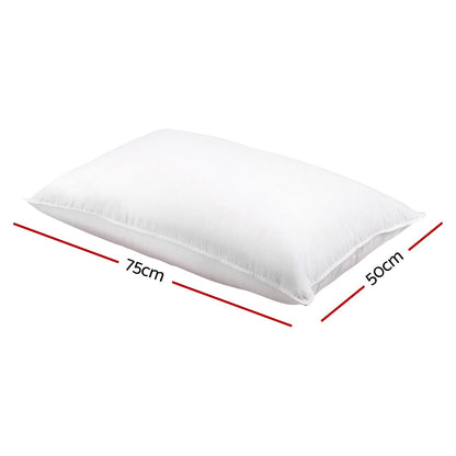 Goose Feather Down Pillow Twin Pack