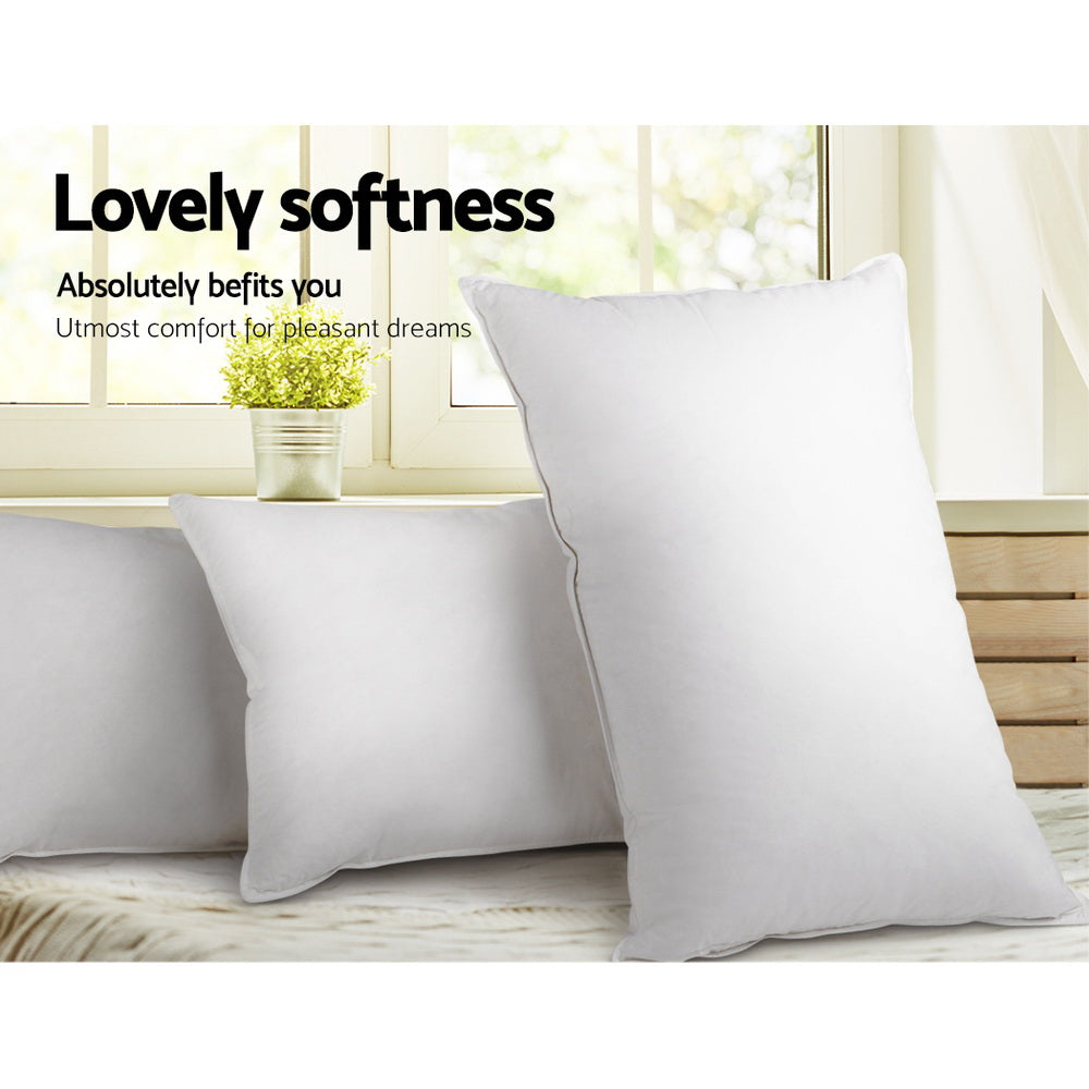 Goose Feather Down Pillow Twin Pack