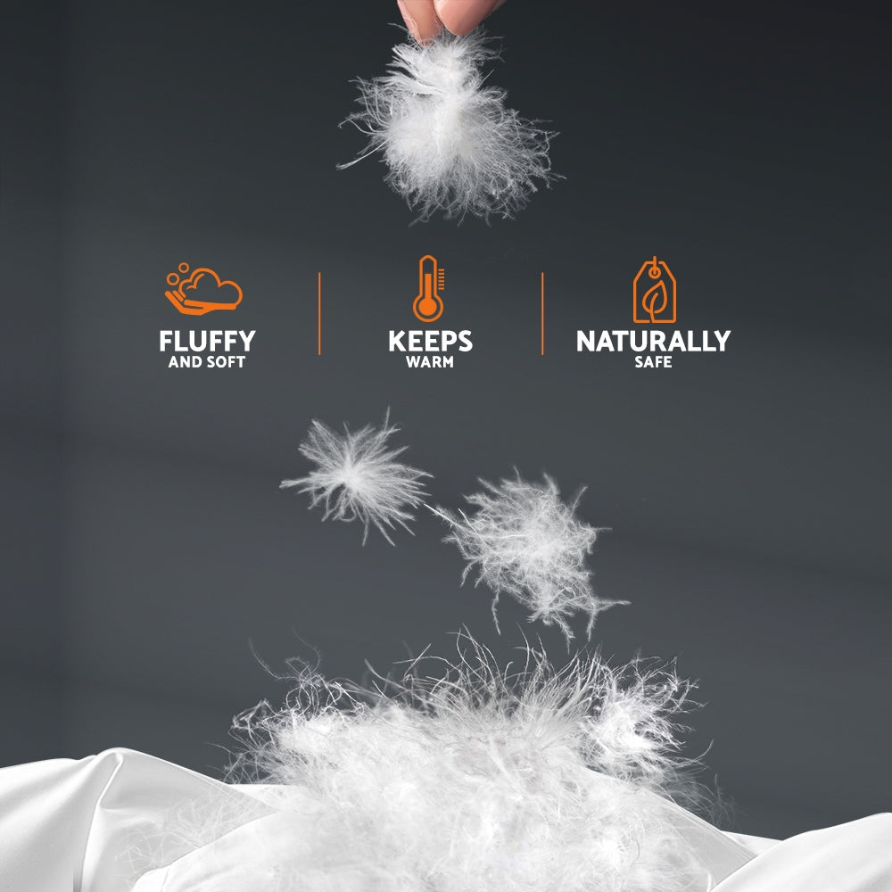 700GSM Goose Down Feather Quilt - King