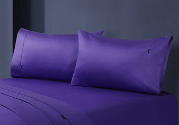 1000TC Egyptian Cotton Pillowcase Pair - Violet