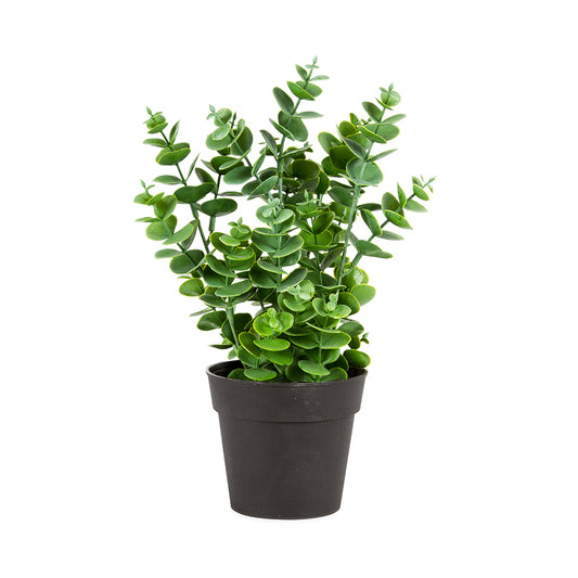 Potted Artificial Eucalyptus Plant 27cm