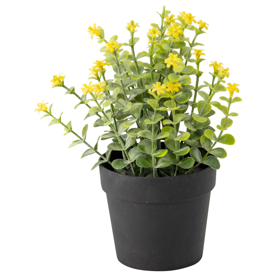 Potted Artificial Plant w Wild Flower 20cm