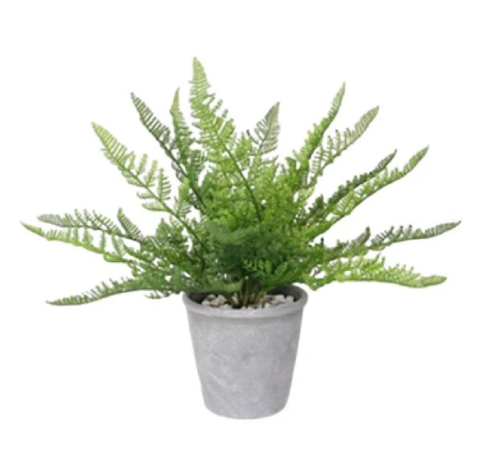Artificial Fern Plant in Pot 35cm