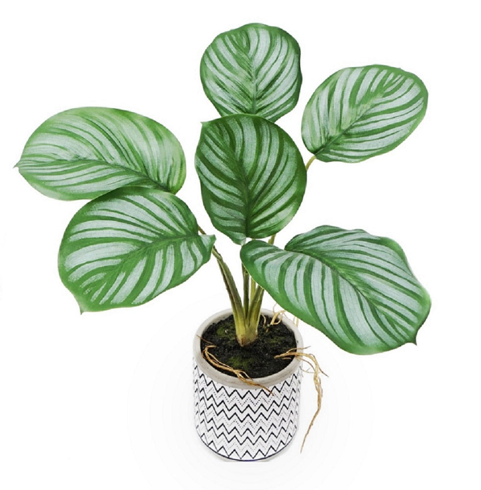 Artificial Calathea in Cement Pot 31cm