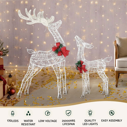 2 PCS Christmas Lights 170 LED Fairy Light Reindeer Decorations